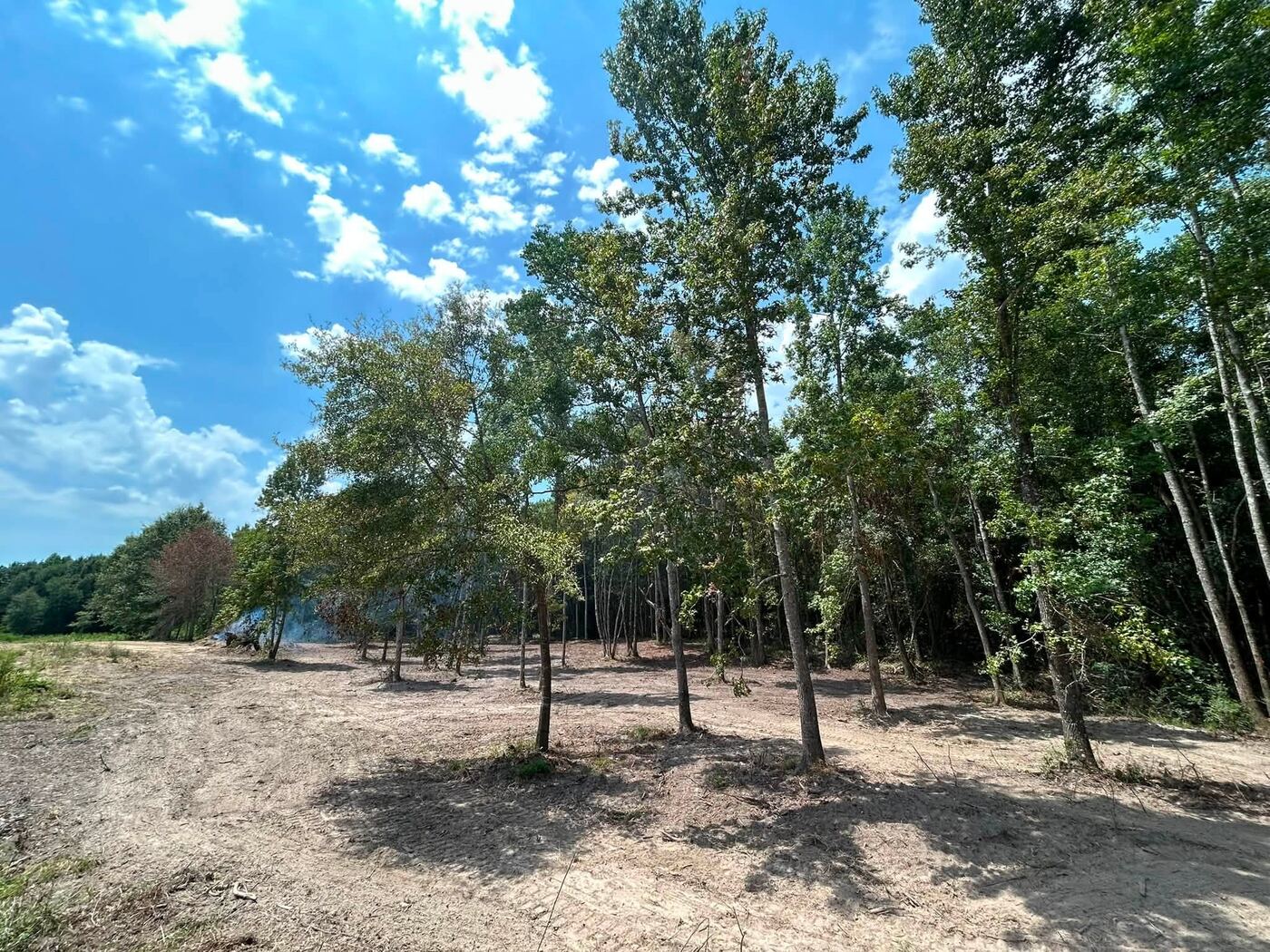 Lot cleared and graded