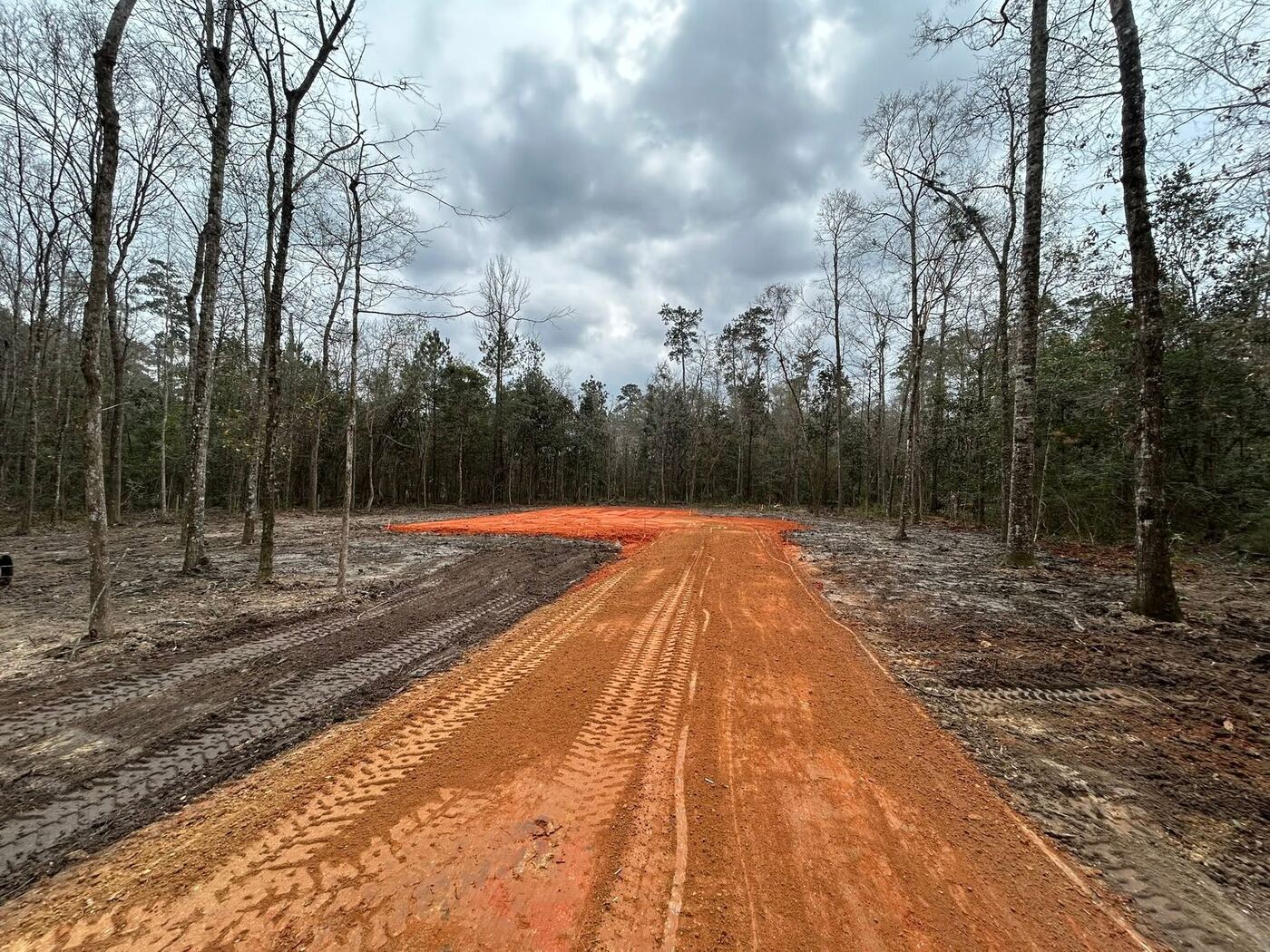 Access road through the woods